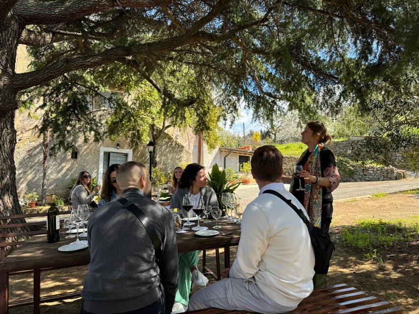 From Rome: Frascati Wine Tour with Lunch and Vineyard tour - The Tasting That Actually Teaches You Something