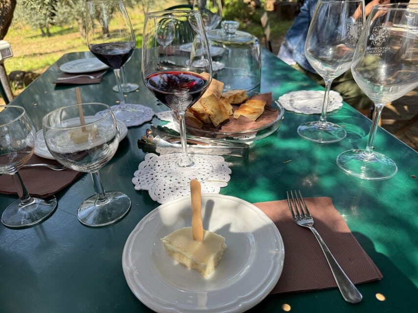 From Rome: Frascati Wine Tour with Lunch and Vineyard tour - Who This Tour Fits Best