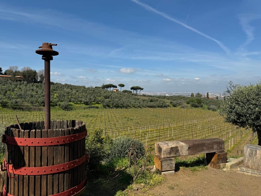 From Rome: Frascati Wine Tour with Lunch and Vineyard tour - Getting There From Rome: The Train Tip That Saves Stress