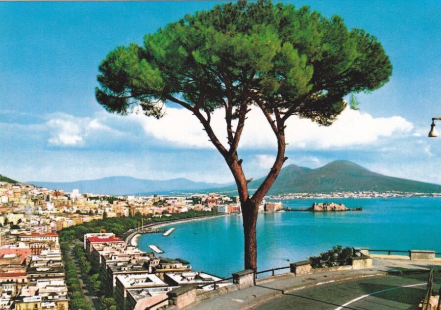 From Rome: Full Day Pompeii and Naples Tour - The rhythm: how a full-day Rome-to-Pompeii-to-Naples plan works