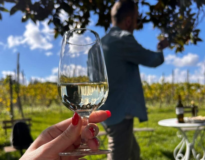 From Rome: Half-Day Frascati Wine Tour with Farmhouse Lunch - Should you book this Frascati wine tour from Rome?