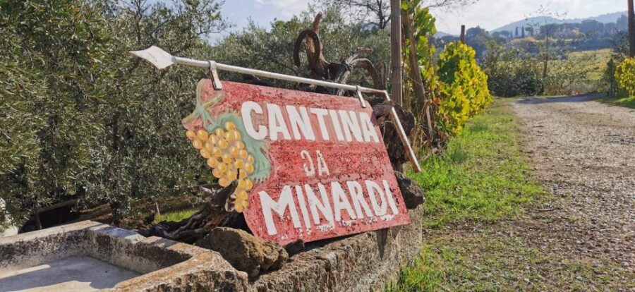 From Rome: Half-Day Frascati Wine Tour with Farmhouse Lunch - The family farmhouse: nine generations, vineyards, and an old cellar