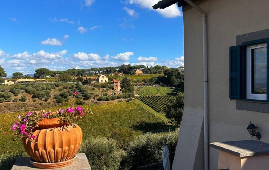 From Rome: Half-Day Frascati Wine Tour with Farmhouse Lunch - Chef lunch at the farmhouse: local specialties plus a fun musical finish