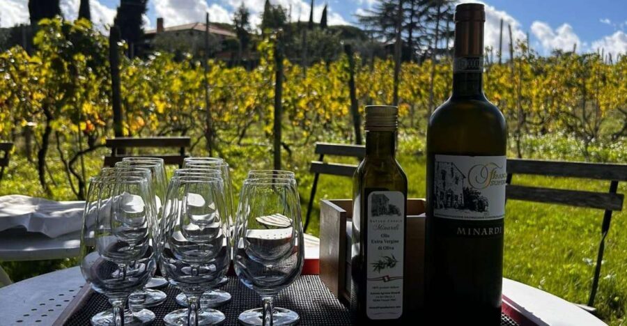 From Rome: Half-Day Frascati Wine Tour with Farmhouse Lunch - Getting there: the 9:49 train and the yellow taxi stand meet-up
