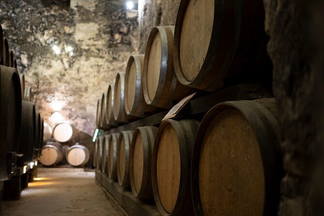 from Rome Montepulciano and Montalcino, the Wine Routes - Key Highlights to Know