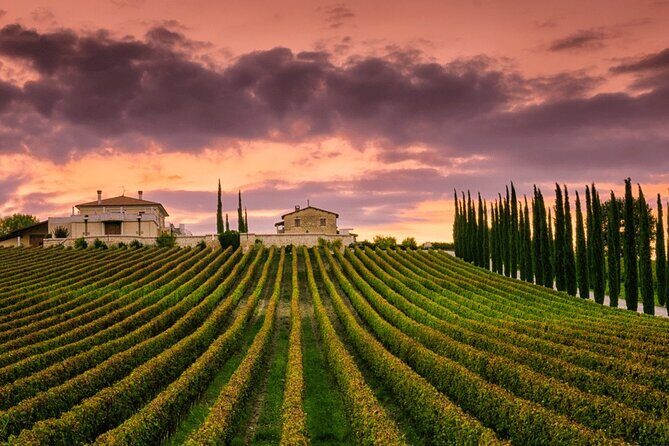 from Rome Montepulciano and Montalcino, the Wine Routes - The Tuscany Stop: Stretch Legs Without Losing Momentum