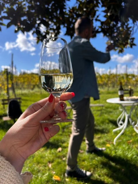 From Rome: Pasta Masterclass & Wine Tour in the Vineyard - Vineyard Walk + Old Cellar Tour: Seeing How Wine Life Links to the Place