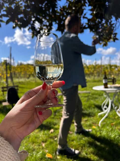From Rome: Pasta Masterclass & Wine Tour in the Vineyard - My Booking Verdict for Pasta, Wine, and a Roman-Day Reset