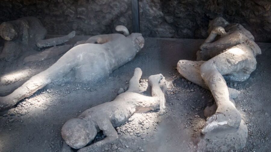 From Rome: Pompeii and Naples Day Trip by High-Speed Train - Price and value: why this $259 day can be fair