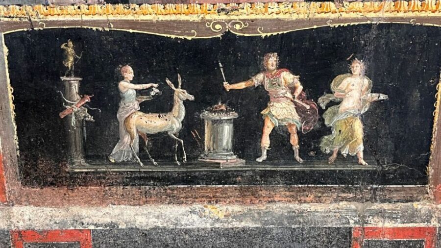 From Rome: Pompeii and Naples Day Trip by High-Speed Train - Who should book this day trip, and who should skip it