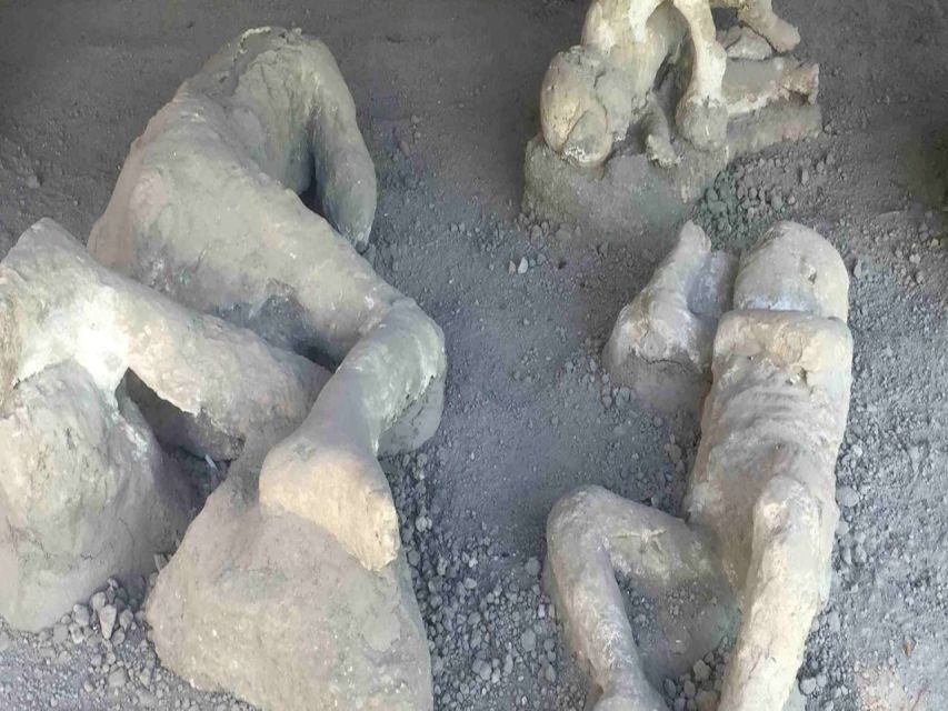 From Rome: Pompeii and Naples, Full Day Tour with Lunch - Getting from Rome: the air-conditioned minivan plan