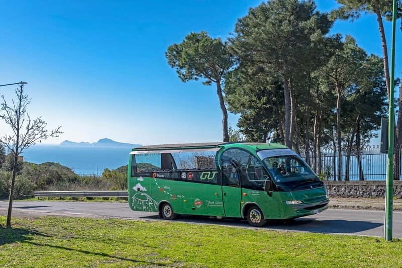 From Rome: Pompeii and Vesuvio Guided Day Trip with Lunch - Pompeii guided: ruins with a real sense of how people lived