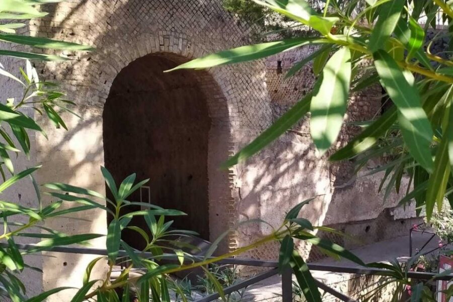 From Rome: Pompeii & Naples Small-Group Day Tour with Lunch - Should you book this Pompeii and Naples small-group day tour?