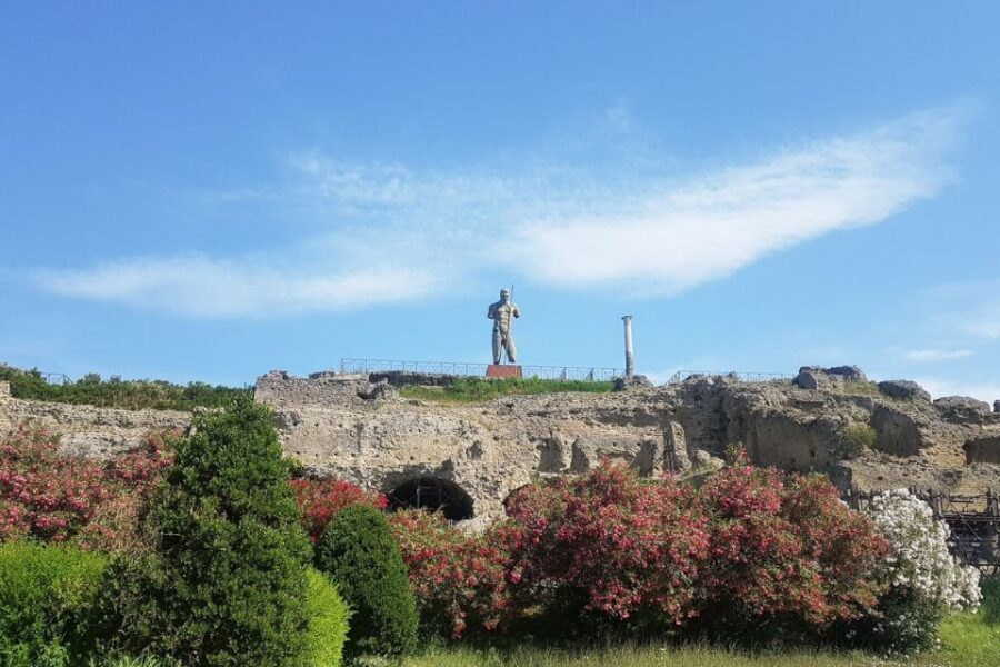 From Rome: Pompeii & Naples Small-Group Day Tour with Lunch - Riding comfort matters: minivan, assistant, and timing