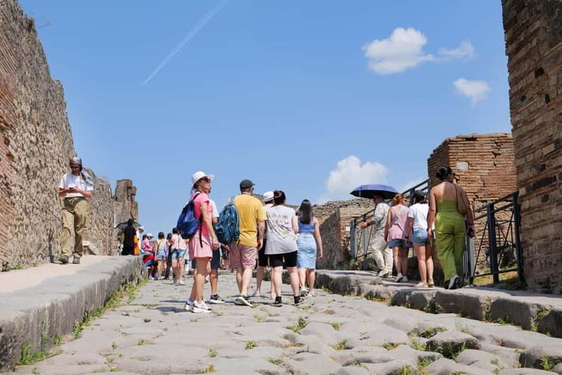 From Rome: Pompeii Ruins Tour with Expert Guide & Fast Train - Meeting the inStazione Team in Naples: The Part That Saves You