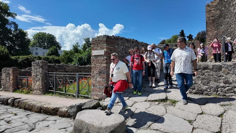 From Rome: Pompeii Ruins Tour with Expert Guide & Fast Train - Lunch and On-Site Food: What’s Missing and How to Handle It
