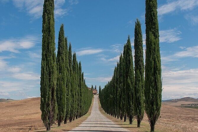 From Rome: Private Day-Tour of Tuscany - Key things to know before you go