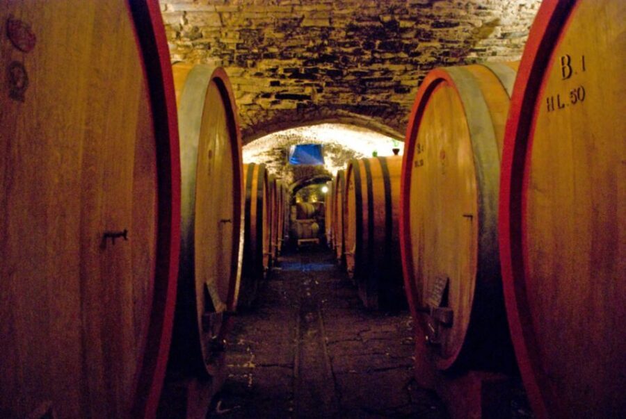 From Rome: Private Tuscany Day Trip - The cost: when private Tuscany is worth it