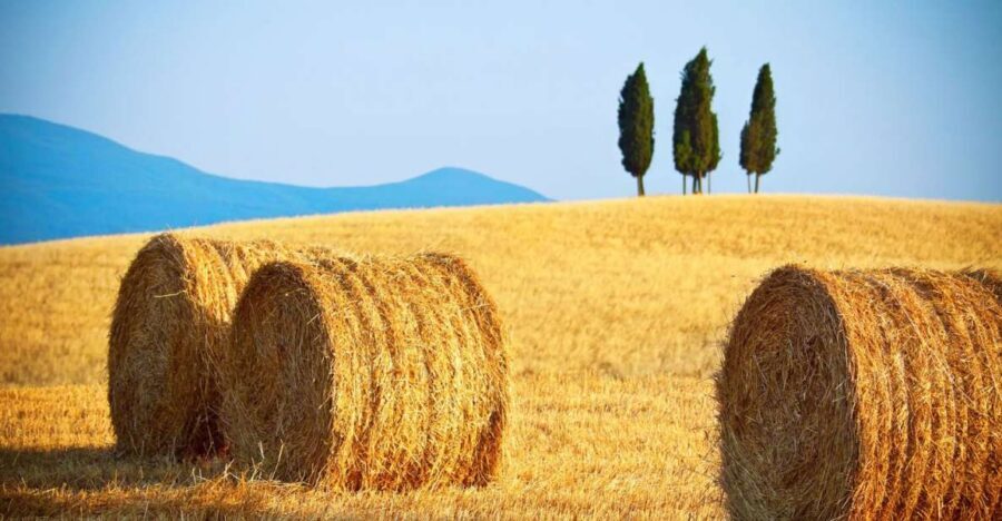 From Rome: Private Tuscany Day Trip - Why this Tuscany loop feels civilized from Rome