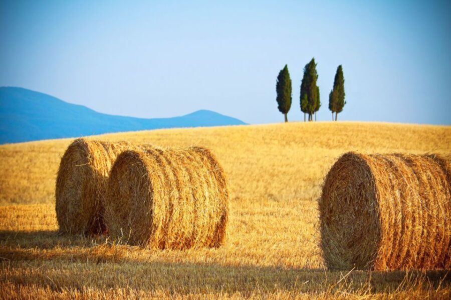 From Rome: Private Tuscany Day Trip - Val d’Orcia viewpoint stop: the quick postcard moment