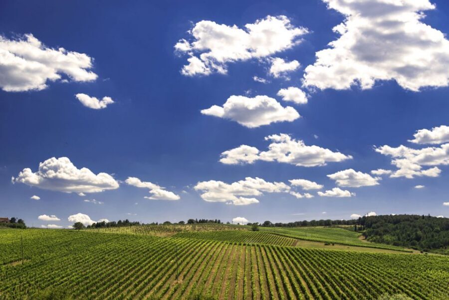From Rome: Private Tuscany Day Trip - Montalcino and Fortezza di Montalcino