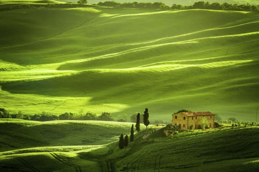 From Rome: Private Tuscany Day Trip - The Mercedes ride: private pickup, real comfort, real time