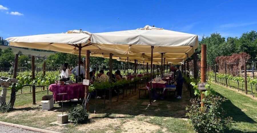 From Rome: Siena and S. Gimignano, Tuscany Wine One Day Tour - A 10-hour Rome escape: what the day feels like