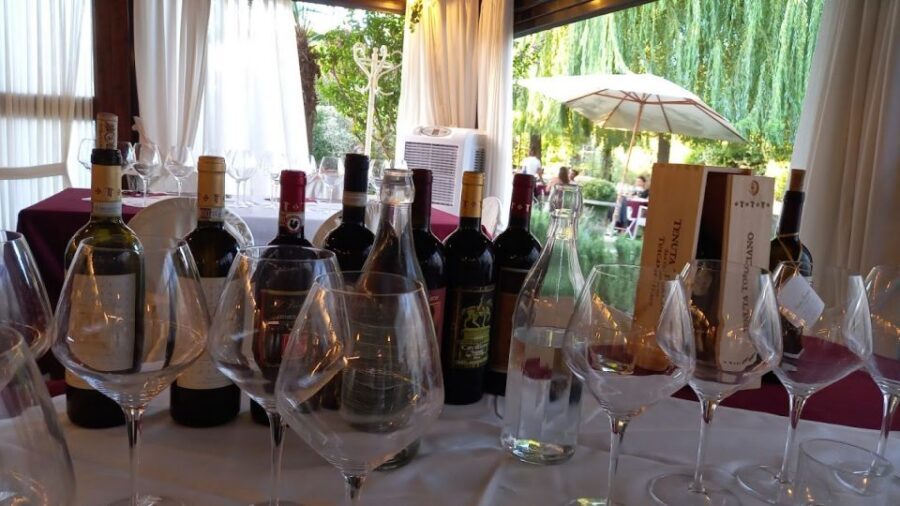 From Rome: Siena and S. Gimignano, Tuscany Wine One Day Tour - Guides, minivan flow, and small-group energy