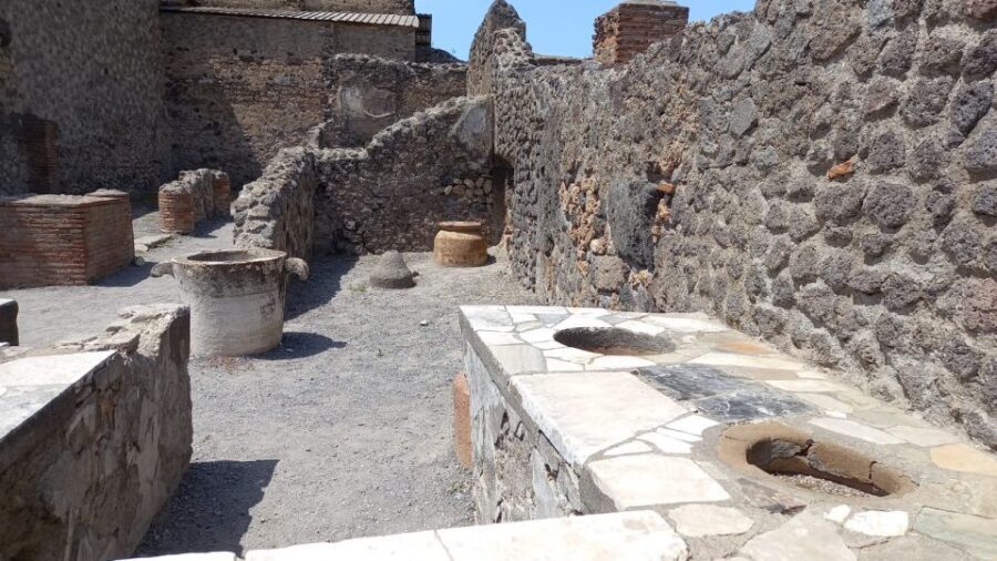 From Rome: Sorrento & Pompeii Day Tour with Hotel Pickup - Price and Logistics: Is $165.85 a Good Deal?
