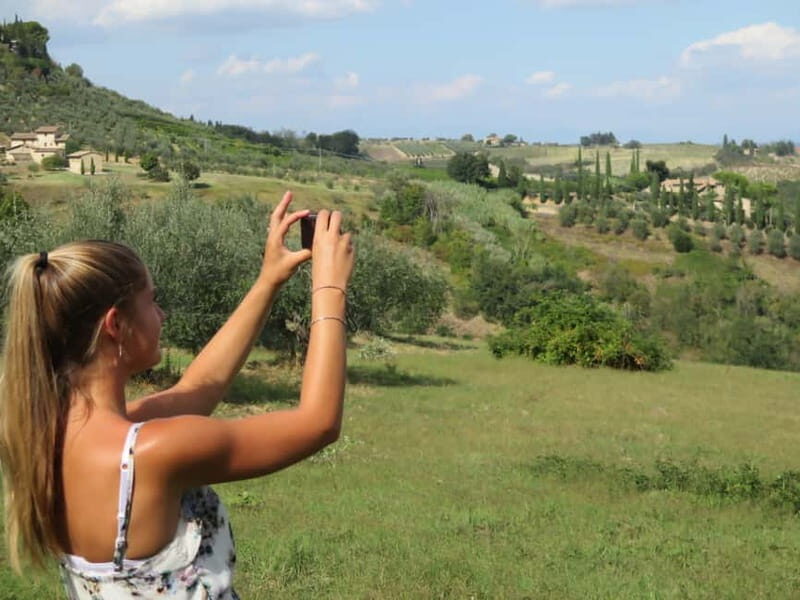 From Rome: Tuscany & Siena with Wine Tasting and Lunch - Chianti countryside: wine tasting, olive oil tasting, and lunch