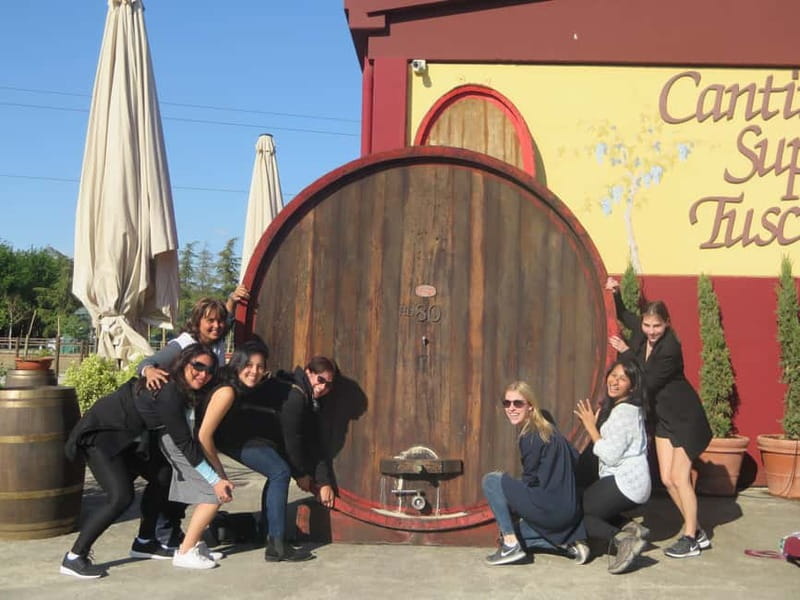 From Rome: Tuscany Wine Tour, San Gimignano & Florence - Who this tour suits best (and who should skip it)