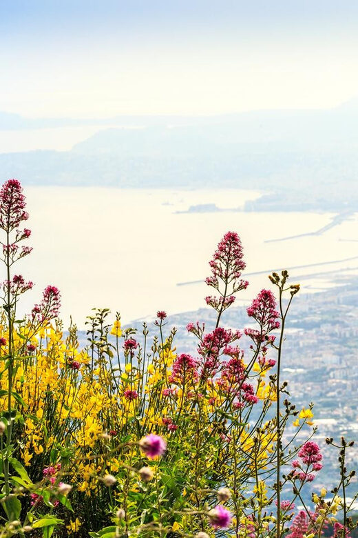 From Salerno_Pompeii&Vesuvius - Tickets, transfers, and what $124.61 really buys