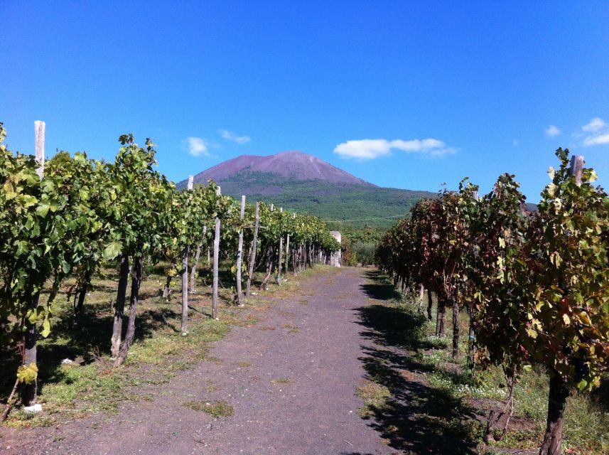 From Sorrento: Skip-the-Line Guided Vesuvius Hike and Lunch - Pickup From Sorrento and the Real Timing of the Day