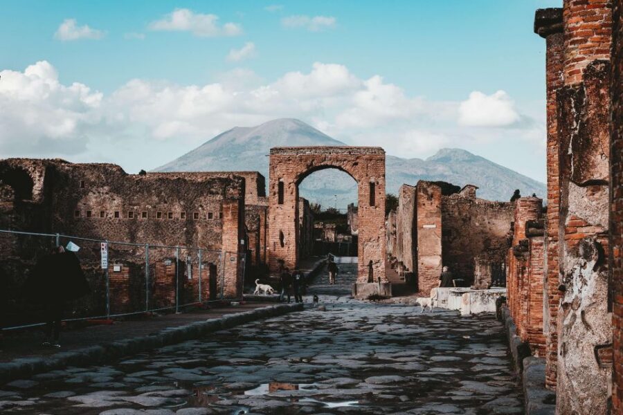 From Sorrento: Skip-the-Line Pompeii Tour and Vineyard Lunch - From Sorrento Pickup to Private-Seat Comfy Ride
