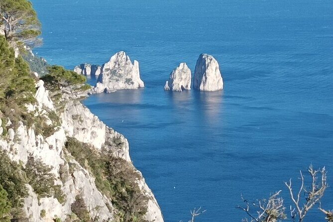 Full-Day Private Capri, Anacapri and Blue Grotto Tour from Naples - Villa San Michele: The Optional Stop (and the €10 Reality Check)