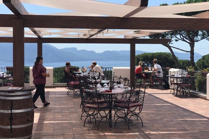 Full Day Private Tour in Pompeii, Vesuvio and Sorrento - Vesuvius National Park: A Volcano-At-The-Table Lunch Option