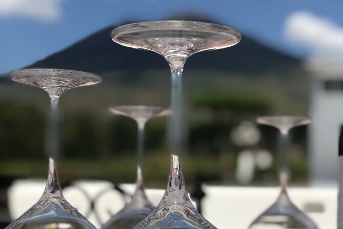 Full Day Private Tour in Pompeii, Vesuvio and Sorrento - Sorrento Olive and Lemon Tasting That Explains the How