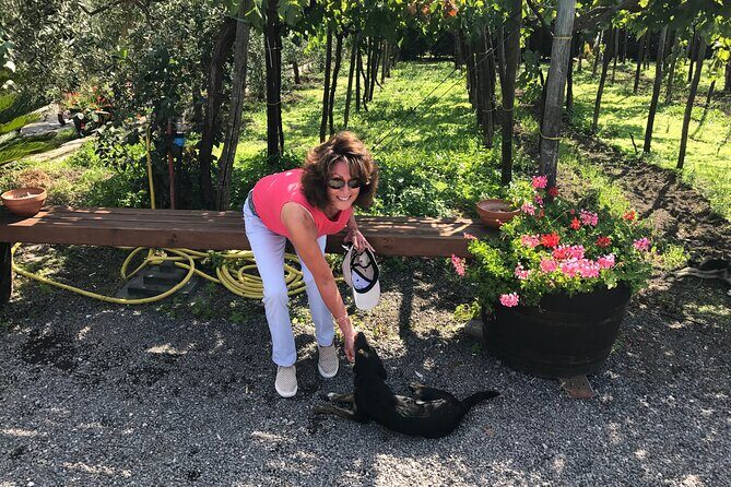 Full Day Private Tour in Pompeii, Vesuvio and Sorrento - How to Time Your Priorities Without Feeling Rushed