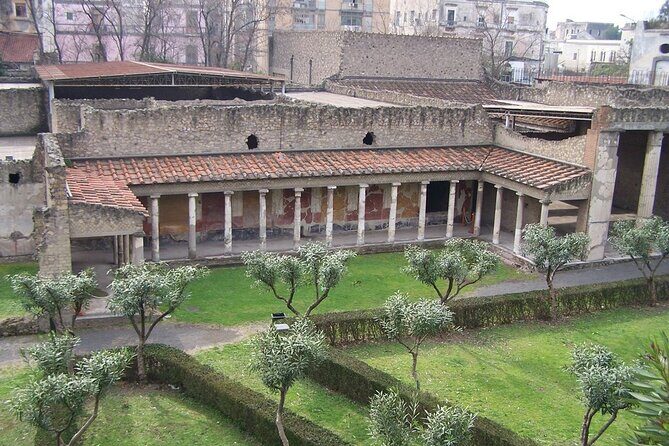 Full Day Private Tour to Pompeii, Herculaneum and Oplontis - Practical tips to make the day feel smooth (not rushed)