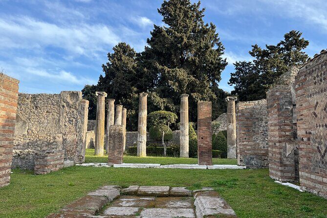 Full Day Tour to Pompeii, Vesuvius and Wine Tasting - Price and Value: What You’re Paying For, Plus the Extras