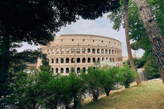 Guided tour of Colosseum, Roman Forum and Palatine hill - Colosseum Stop: What You’ll Focus On First
