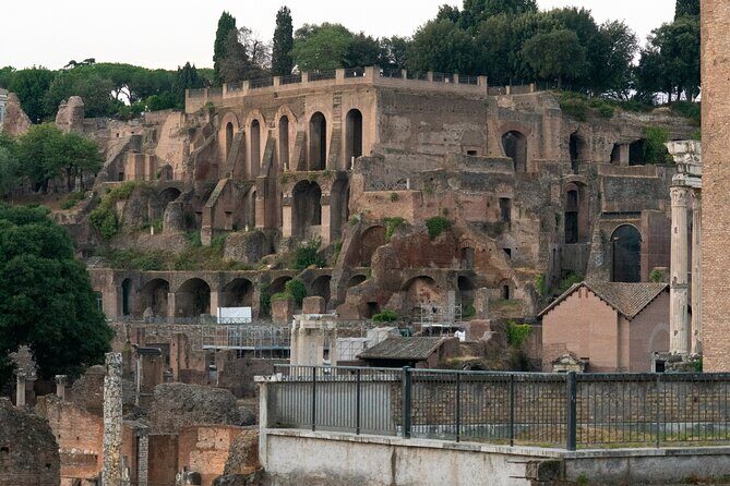 Guided tour of Colosseum, Roman Forum and Palatine hill - What the Ratings Suggest (And What to Expect Anyway)