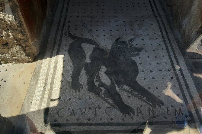 Guided Tours of Pompeii Excavations Historical and Cultural Itineraries - FAQ