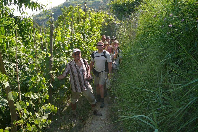 Half-day east coast hike in Ischia island with pick-up - The San Pancrazio peninsula: cliffs, olive groves, and island sightlines