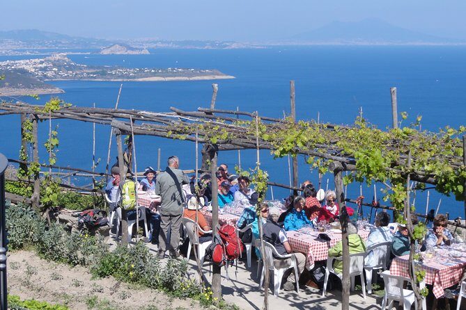Half-day east coast hike in Ischia island with pick-up - Vineyards, orchards, and a hollow path to a plateau