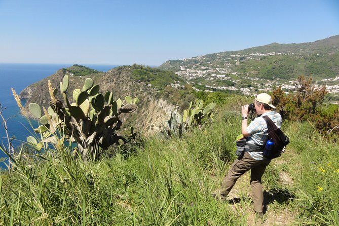Half-day east coast hike in Ischia island with pick-up - Barano d’Ischia: Vatoliere crater and the green volcanic story