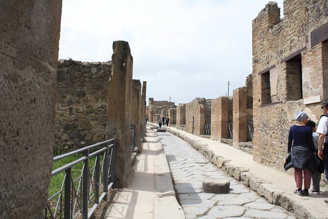 Half-Day Exclusive Private Tour of Pompeii and Herculaneum - Time, price, and value: is $4,655.67 per person justified?