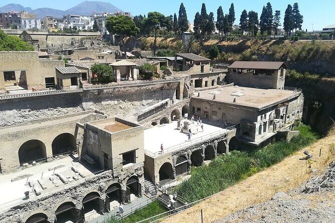 Half Day Excursion to Herculaneum from Naples with Lunch - Back to Naples by mid-afternoon: use the rest of your day
