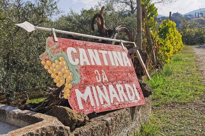 Half-Day Minardi Wine and Food Tour in Frascati - Price and Value: What You’re Really Paying For