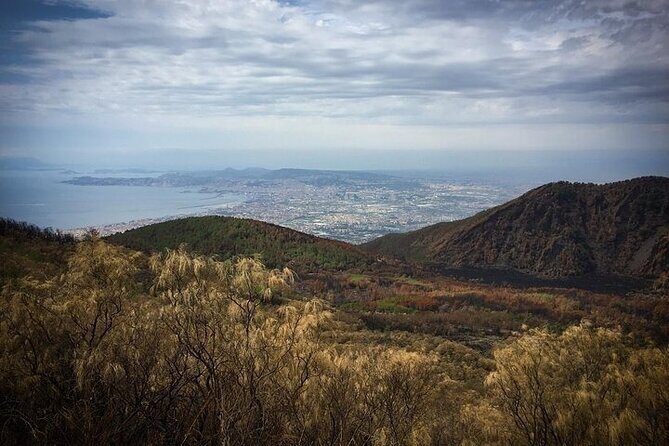 Half-Day Vesuvius Drive and Summit Hike from Naples with Lunch - Who will love this tour (and who should pick something else)